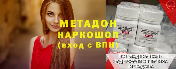 индика Алзамай