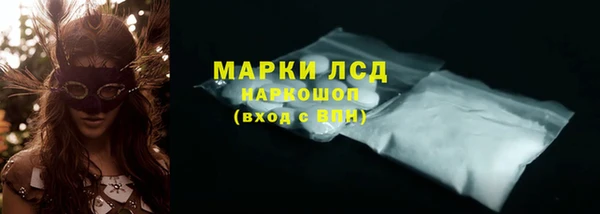 индика Алзамай
