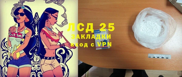 индика Алзамай