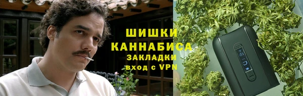 индика Алзамай
