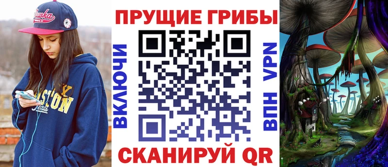 Галлюциногенные грибы Cubensis  Стародуб 