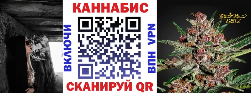 где продают   Стародуб  Канабис SATIVA & INDICA 
